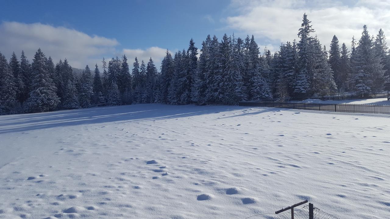 Lesne Zacisze Bed & Breakfast Murzasichle Eksteriør bilde