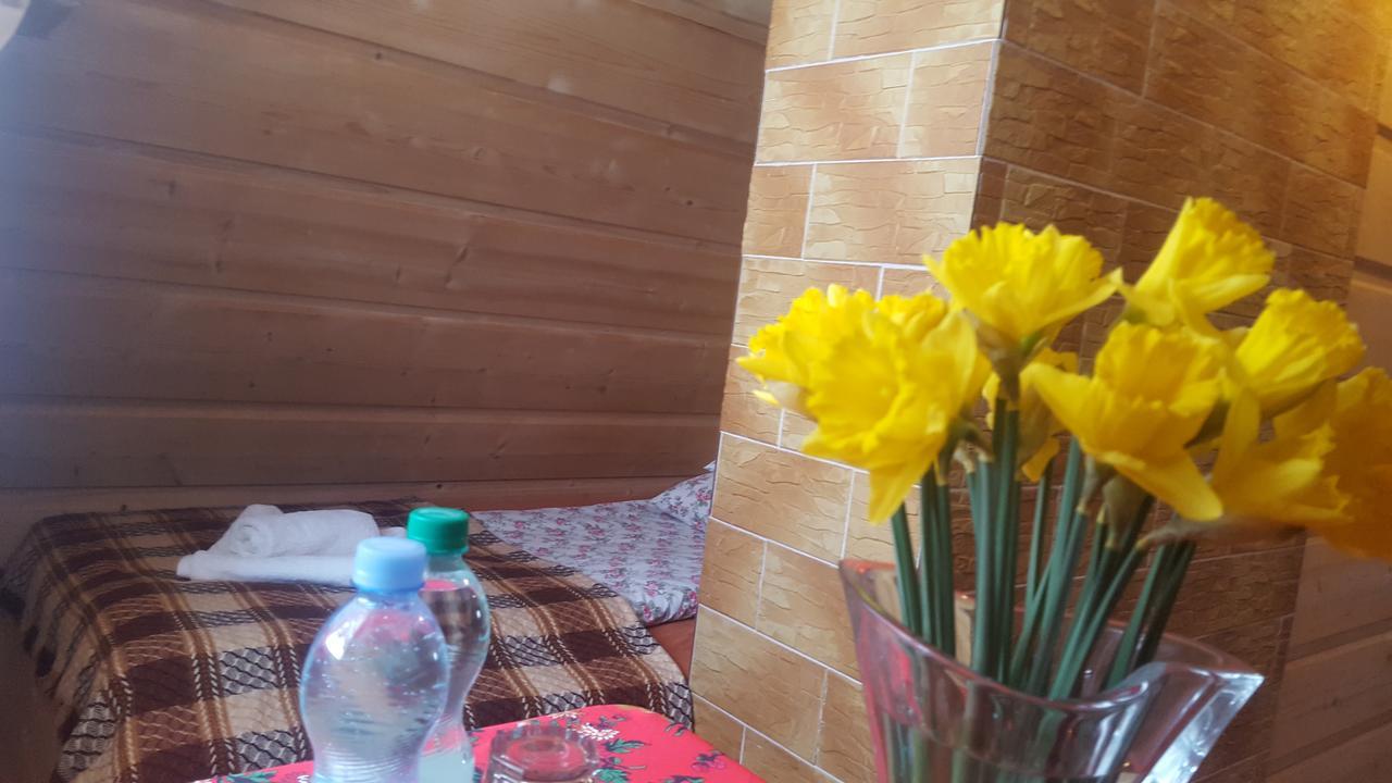 Lesne Zacisze Bed & Breakfast Murzasichle Eksteriør bilde
